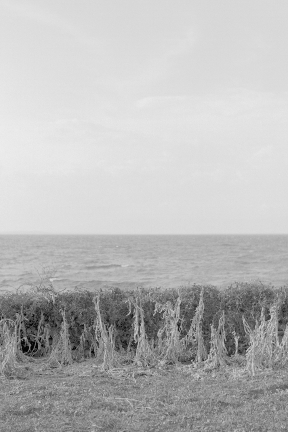 horizon_4