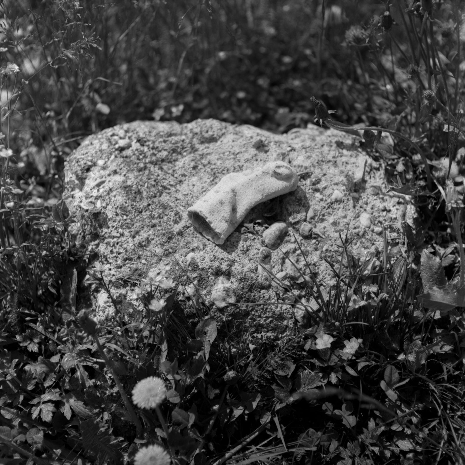 leftbehind_11
