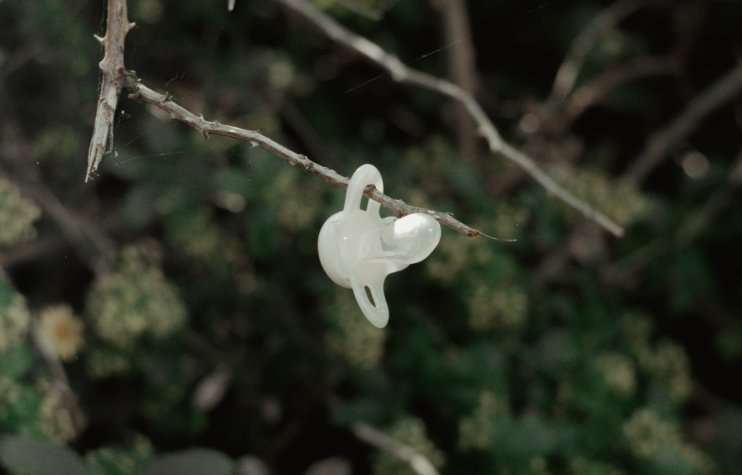 leftbehind_2
