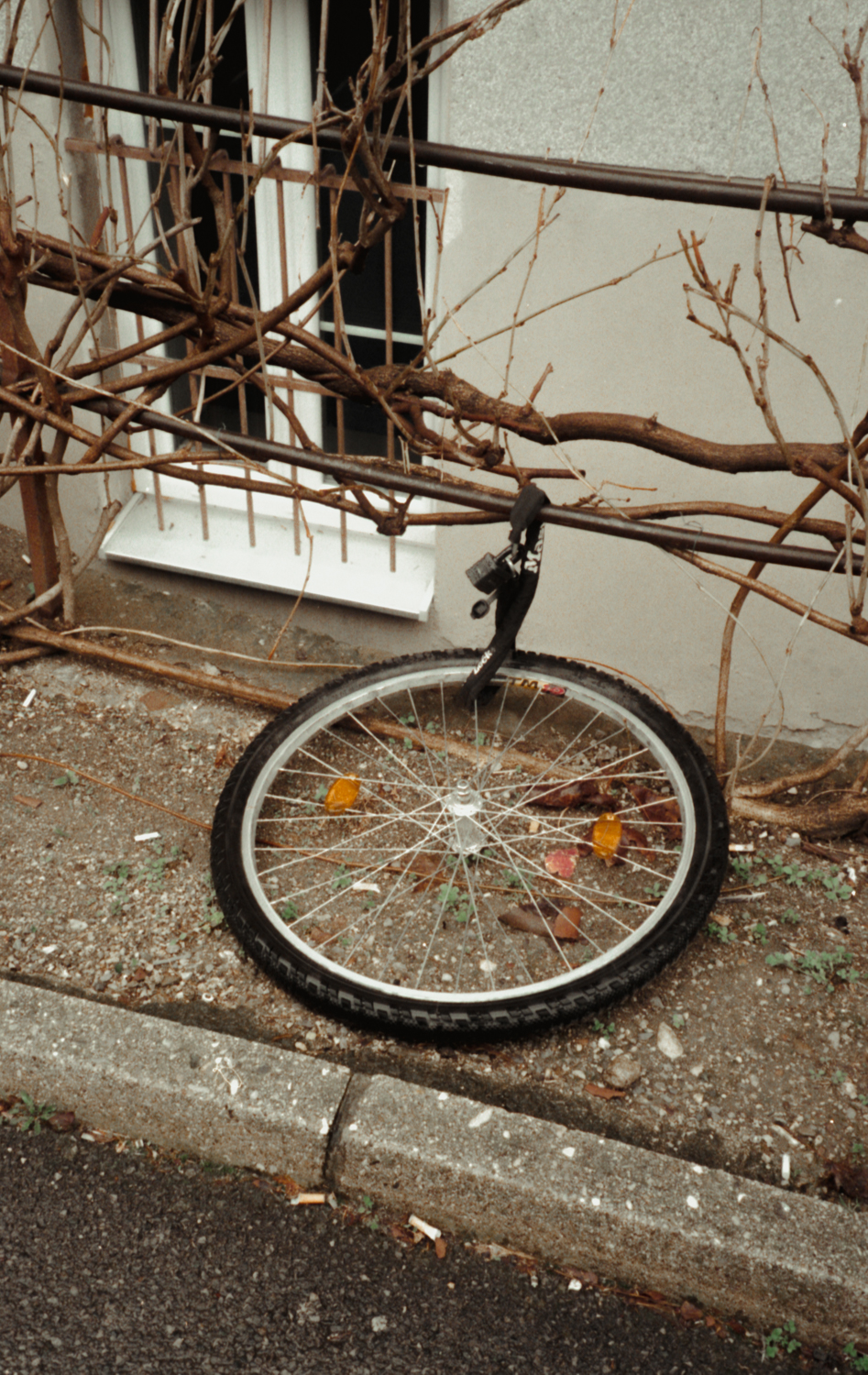 leftbehind_4