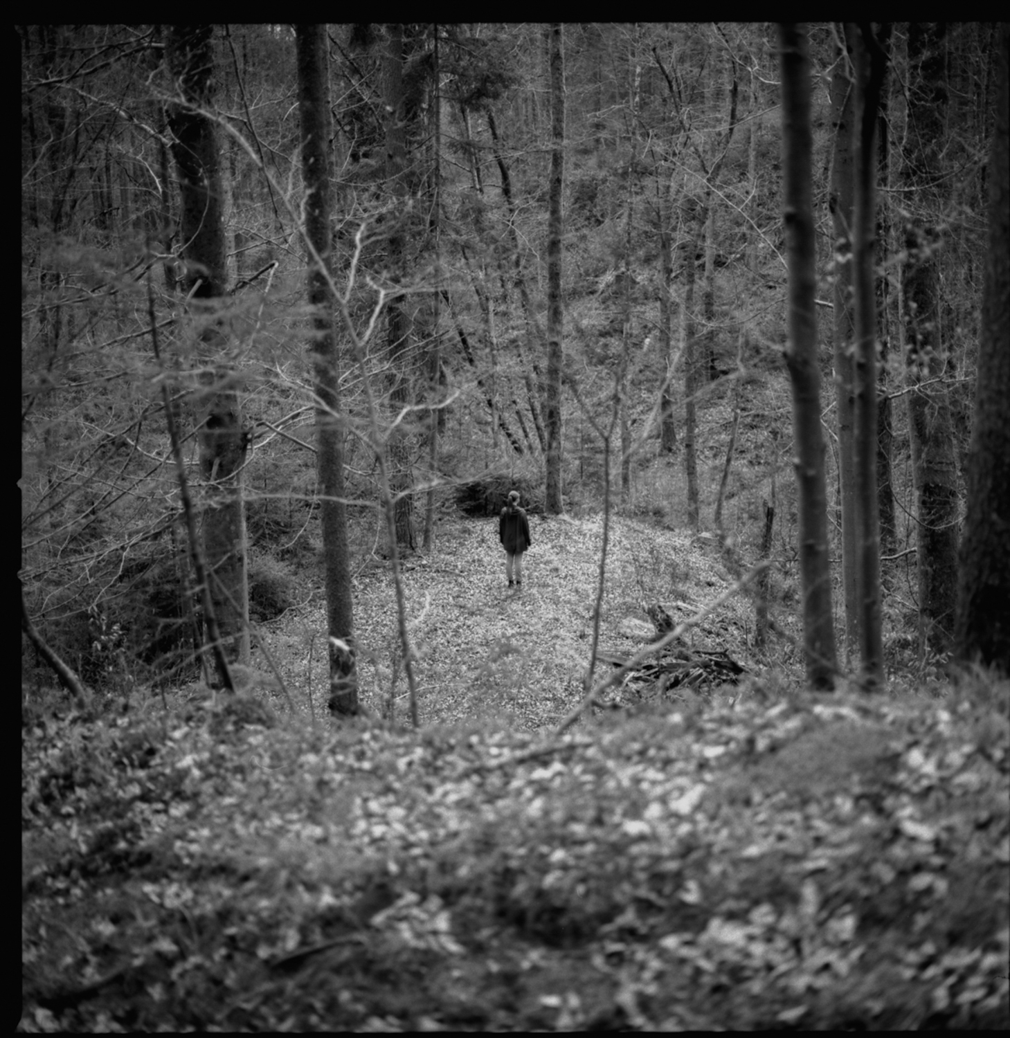 slovenia_31